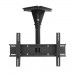 outdoor ceiling mount