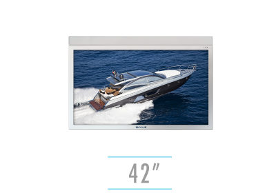 SkyVue NXG DS-700 42" TV